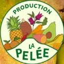 Production La Pelée